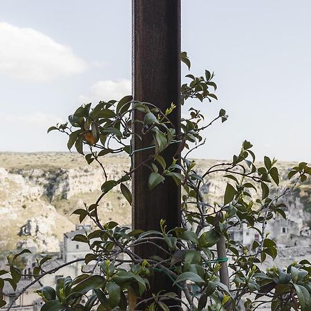 Willa Angolo Del Poeta - Maison De Charme Matera Zewnętrze zdjęcie